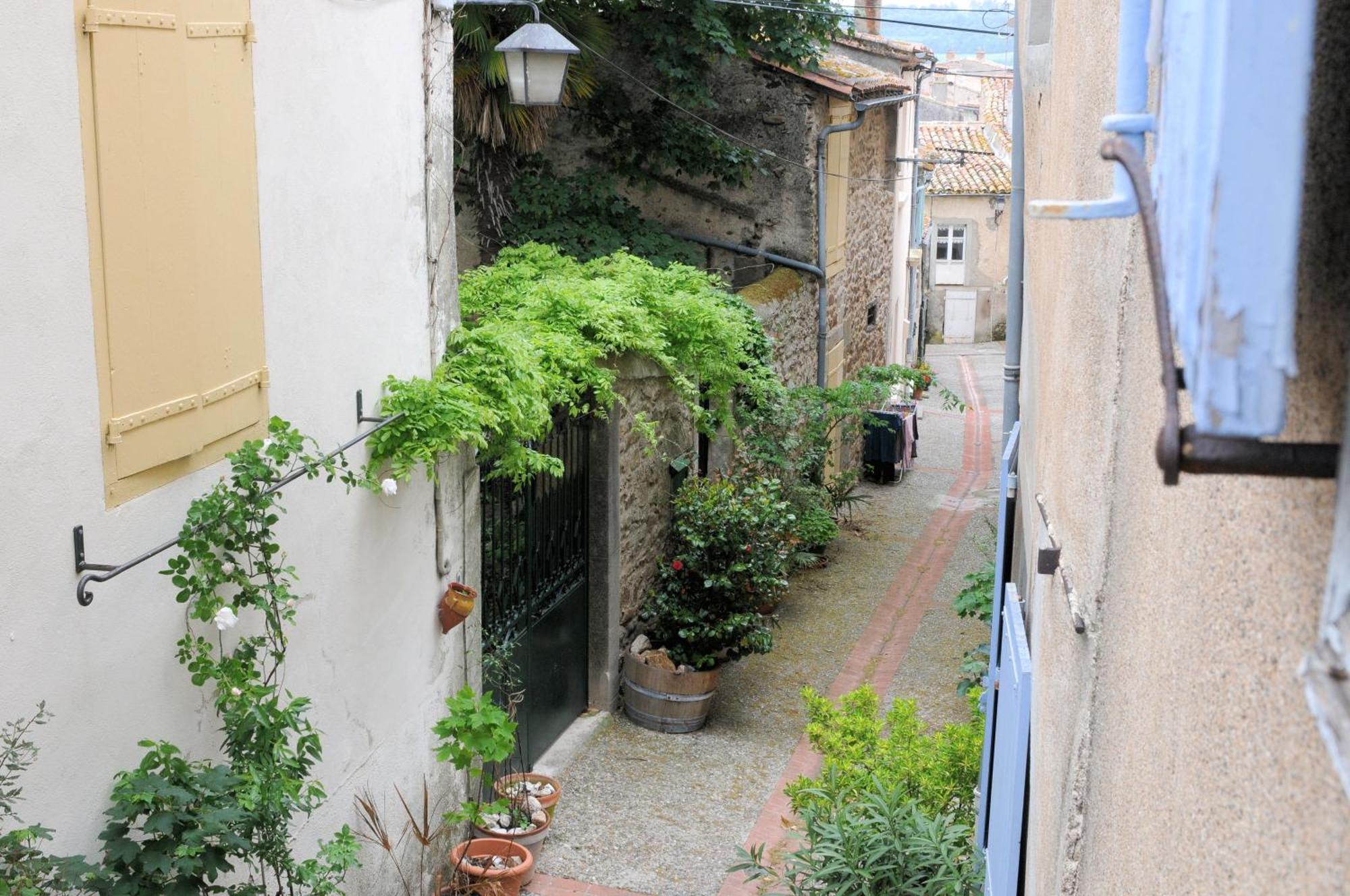 Maison Rives - Village Du Livre De Montolieu المظهر الخارجي الصورة